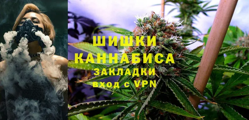 наркотики  Анапа  Бошки Шишки White Widow 